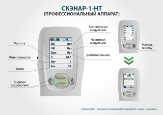 СКЭНАР-1-НТ (исполнение 01)  в Сызрани купить Медицинская техника - denasosteo.ru 